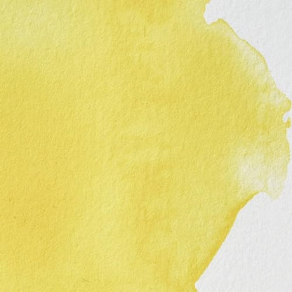 Professional Watercolor