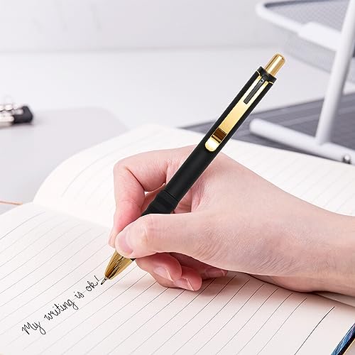 Ballpoint Pens Black Ink Medium Point 1.0mm (12 Count)