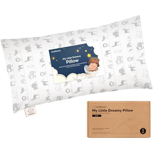 Toddler Pillow with Pillowcase