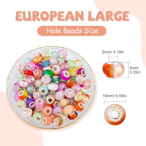 Multicolor Large Hole Beads (100 Count)