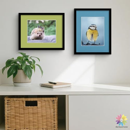 Mat Board Center 25 Pack 11x14 Picture Mat for 8x10 Photo Mixed Color
