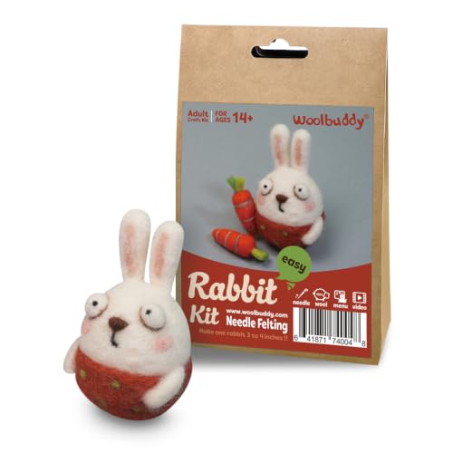 Needle Felting Starter Kit