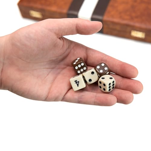 Backgammon Board Game
