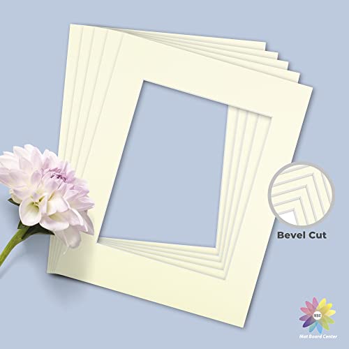 Mat Board Center 10 Pack 11x14 Photo Mats for 8x10 Picture (10 Count)