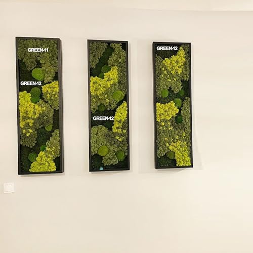 Preserved Reindeer Craft Moss Natural DIY Kit Gardenning Art Wall Olive Green Florist Easter Table Decor Wedding