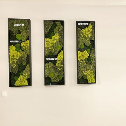 Preserved Reindeer Craft Moss Natural DIY Kit Gardenning Art Wall Olive Green Florist Easter Table Decor Wedding