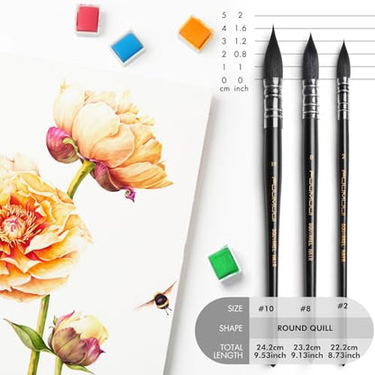 3PCS Squirrel Hair Watercolor Brushes (3 Count)