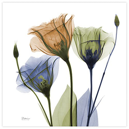 Frameless Free Floating Tempered Glass Panel Graphic Wall Art Ready to Hang