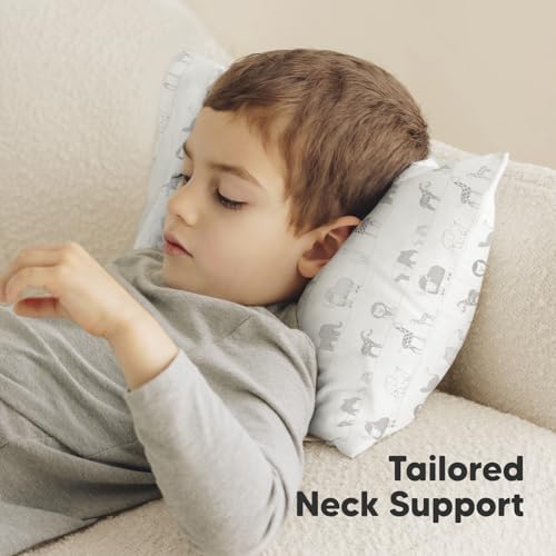 Toddler Pillow with Pillowcase