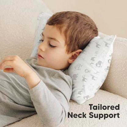 Toddler Pillow with Pillowcase