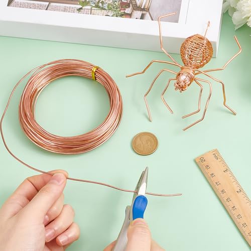 32.81 Feet Solid Copper Wire (32.81 Foot)