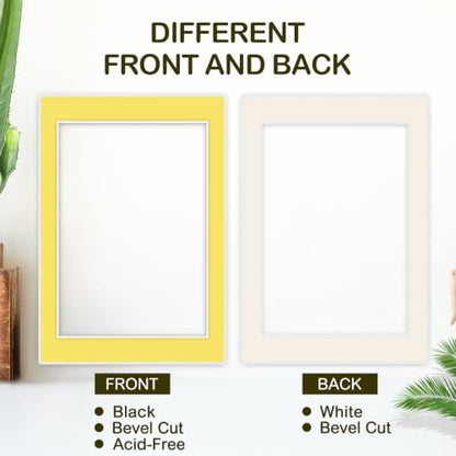 15 Pack 24x36 Picture Mats for 20x30 Photos