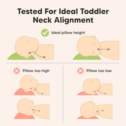 Toddler Pillow with Pillowcase