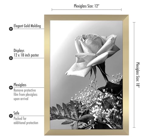 12x18 Poster Frame