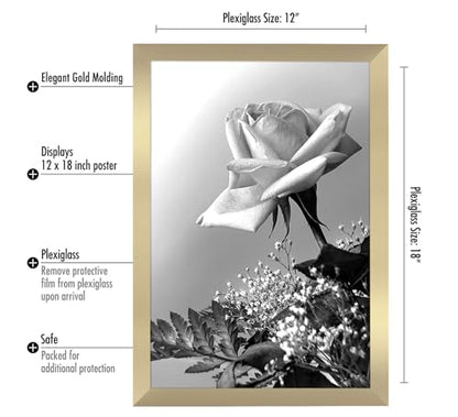 12x18 Poster Frame
