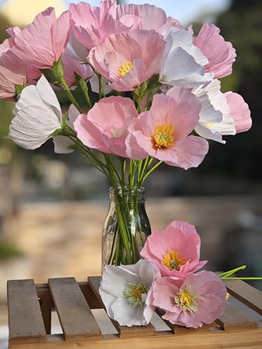 Crepe Paper Flower DIY Making Kit (24 Count)