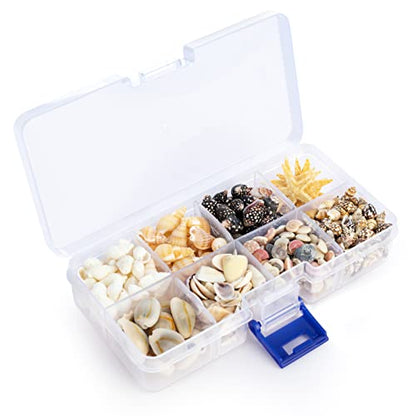 Premium Tiny Seashell Mix