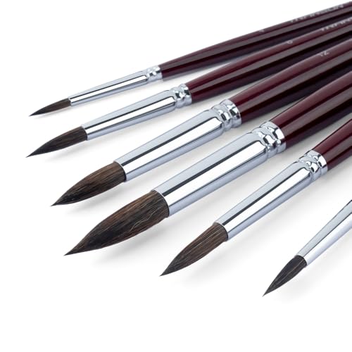 Squirrel Hair Round Paint Brush Set for Watercolor Gouache Ink Acrylic Art Painting Short (6 Count)