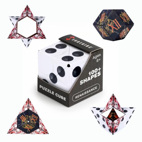 DODECA Magnetic Puzzle Cube