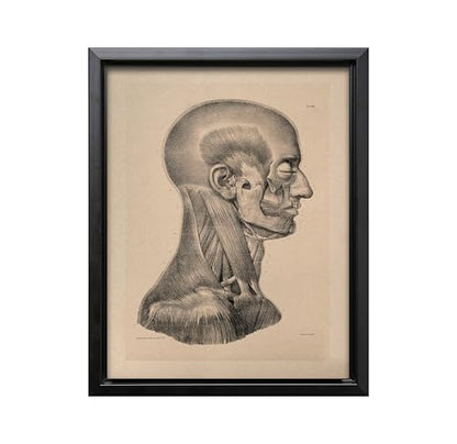Vintage Science Canvas