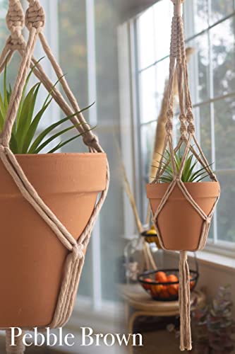 Macrame Kit Makes 3 DIY Plant Hangers for Teens & Adult Beginners