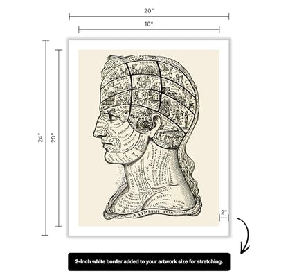 A Symbolic Head Phrenology Print 1899