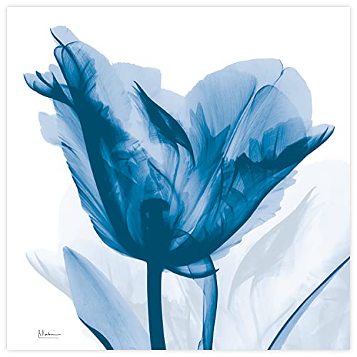 Frameless Free Floating Tempered Glass Panel Graphic Wall Art Ready to Hang