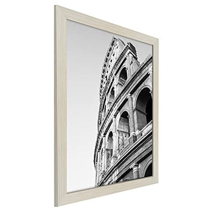 20x24 Poster Frame