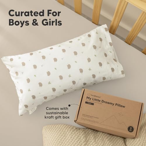 Toddler Pillow with Pillowcase