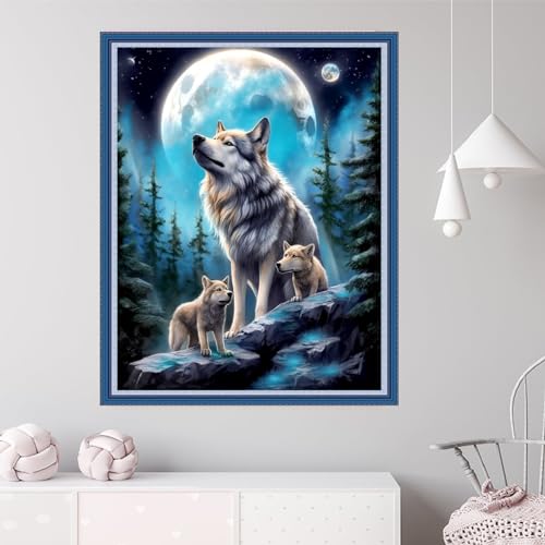 Cross Stitch Kits for Adults Beginners