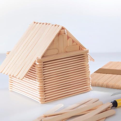 2000 Pcs Popsicle Stick (2000 Count)