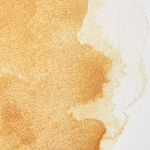 Professional Watercolor