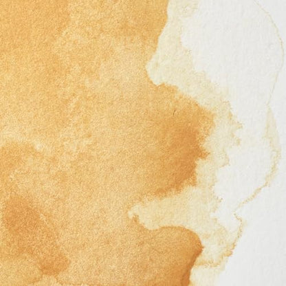 Professional Watercolor