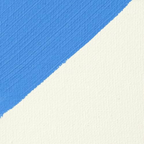 Professional Gesso Surface Prep Medium (4 Fl Oz)