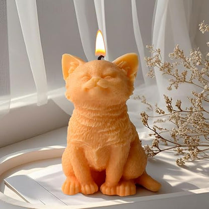 Candle Making Molds Resin Mold
