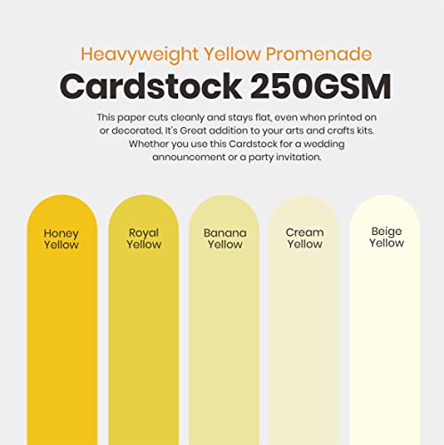 Yellow Colored Cardstock Thick Paper 50 Sheets