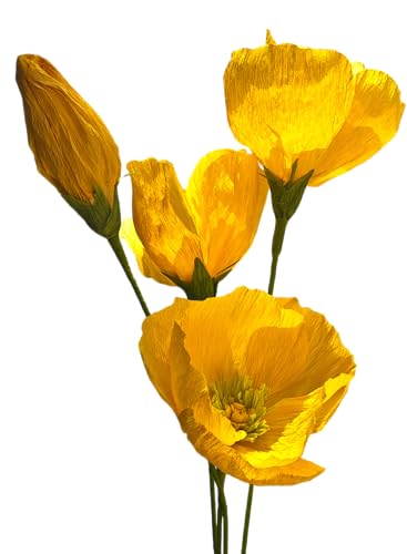 Crepe Paper Poppy Flower DIY Making Kit 24 pcs (24 Count)