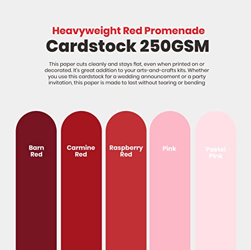 Red Colored Cardstock Thick Paper 50 Sheets