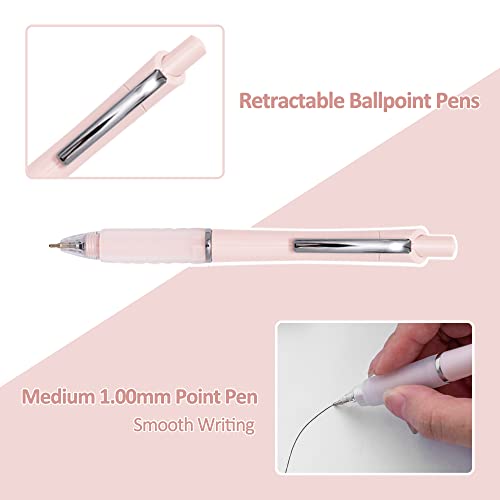 Ballpoint Pens 1.0mm Medium Point Black Ink (12 Count)