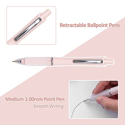 Ballpoint Pens 1.0mm Medium Point Black Ink (12 Count)