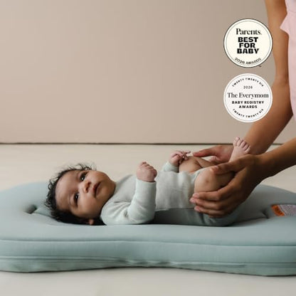 Organic Newborn Baby Infant Lounger Pillow & Travel Bag