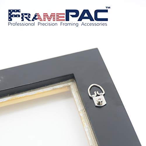 D Ring Picture Hangers with Screws (100 Count)