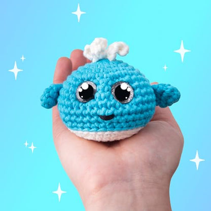 Crochet Kit for Beginners