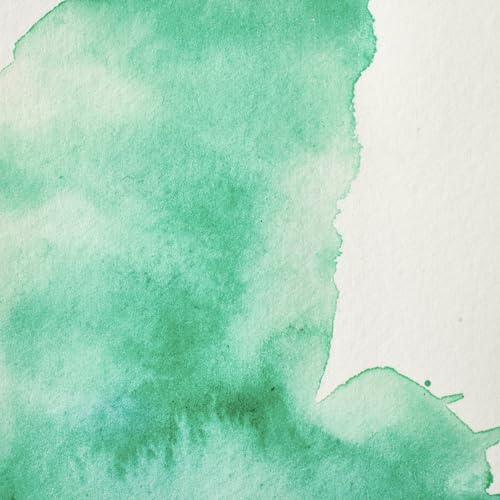 Professional Watercolour Revival