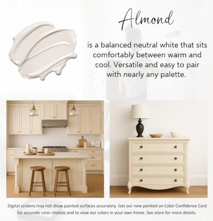 ALL-IN-ONE Paint by Heirloom Traditions, Almond, 8oz Sample (8 Fl Oz)