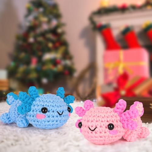 Crochet Kit for Beginners (2 Count)