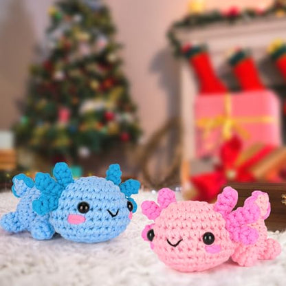Crochet Kit for Beginners (2 Count)