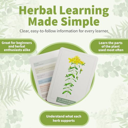 Herb Notes Plant Identification Cards (48 Count)