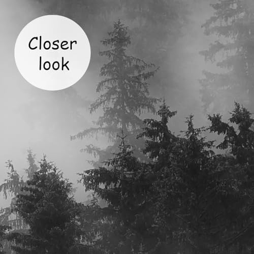 Dark Misty Forest Wallpaper wall murals for Bedroom 159"x107"