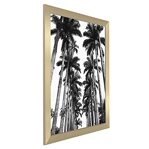 22x28 Poster Frame